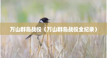 万山群岛战役（万山群岛战役全纪录）
