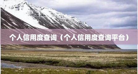 个人信用度查询（个人信用度查询平台）