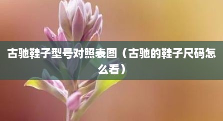 古驰鞋子型号对照表图（古驰的鞋子尺码怎么看）