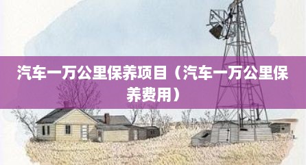 汽车一万公里保养项目（汽车一万公里保养费用）