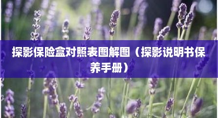 探影保险盒对照表图解图（探影说明书保养手册）