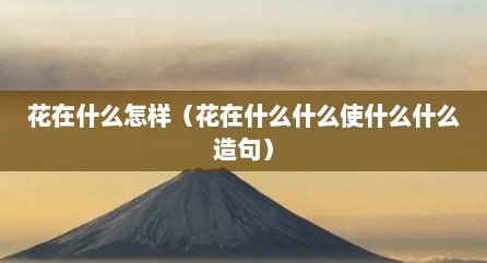 花在什么怎样（花在什么什么使什么什么造句）