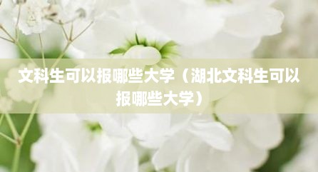 文科生可以报哪些大学（湖北文科生可以报哪些大学）