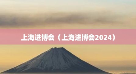 上海进博会（上海进博会2024）