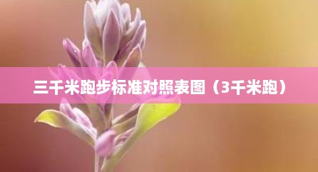 三千米跑步标准对照表图（3千米跑）