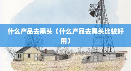 什么产品去黑头（什么产品去黑头比较好用）