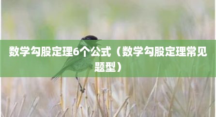 数学勾股定理6个公式（数学勾股定理常见题型）