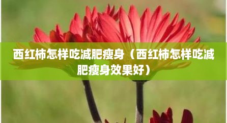 西红柿怎样吃减肥瘦身（西红柿怎样吃减肥瘦身效果好）