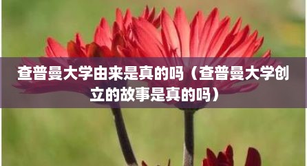 查普曼大学由来是真的吗（查普曼大学创立的故事是真的吗）