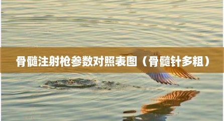 骨髓注射枪参数对照表图（骨髓针多粗）