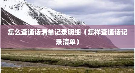 怎么查通话清单记录明细（怎样查通话记录清单）