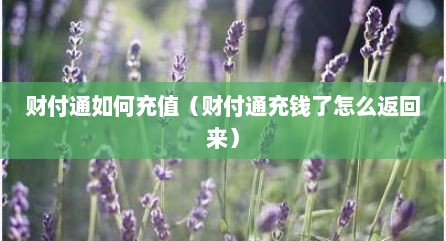 财付通如何充值（财付通充钱了怎么返回来）