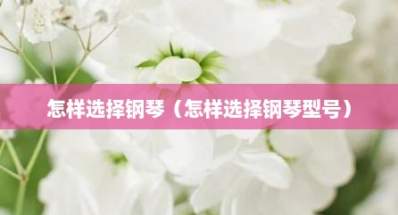 怎样选择钢琴（怎样选择钢琴型号）