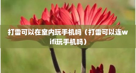 打雷可以在室内玩手机吗（打雷可以连wifi玩手机吗）