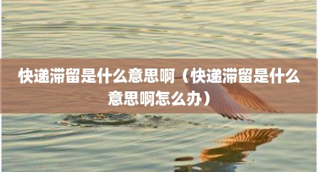 快递滞留是什么意思啊（快递滞留是什么意思啊怎么办）