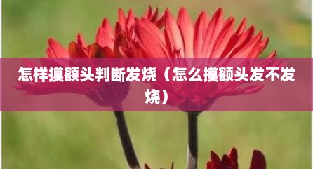 怎样摸额头判断发烧（怎么摸额头发不发烧）