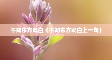 不知东方既白（不知东方既白上一句）