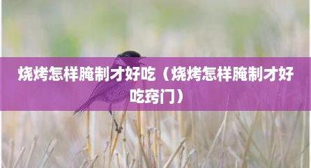 烧烤怎样腌制才好吃（烧烤怎样腌制才好吃窍门）