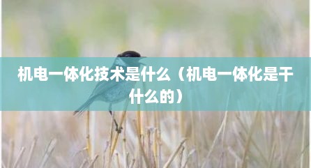 机电一体化技术是什么（机电一体化是干什么的）