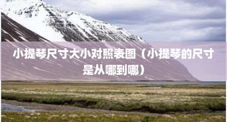 小提琴尺寸大小对照表图（小提琴的尺寸是从哪到哪）