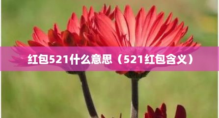 红包521什么意思（521红包含义）
