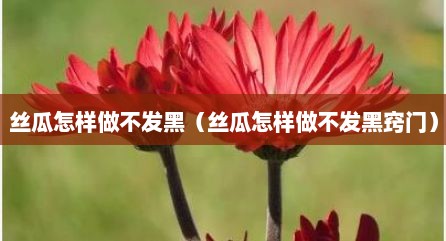 丝瓜怎样做不发黑（丝瓜怎样做不发黑窍门）