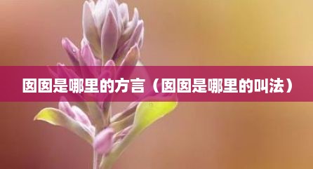 囡囡是哪里的方言（囡囡是哪里的叫法）