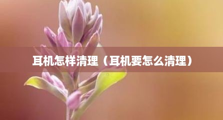 耳机怎样清理（耳机要怎么清理）