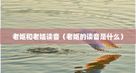 老妪和老媪读音（老妪的读音是什么）