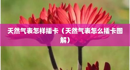 天然气表怎样插卡（天然气表怎么插卡图解）