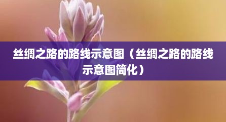 丝绸之路的路线示意图（丝绸之路的路线示意图简化）