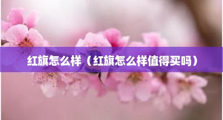 红旗怎么样（红旗怎么样值得买吗）