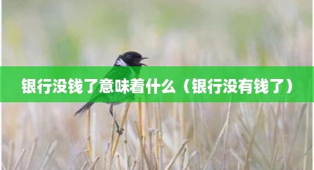 银行没钱了意味着什么（银行没有钱了）