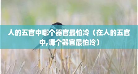 人的五官中哪个器官最怕冷（在人的五官中,哪个器官最怕冷）
