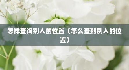 怎样查询别人的位置（怎么查到别人的位置）