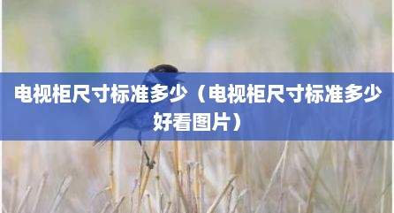 电视柜尺寸标准多少（电视柜尺寸标准多少好看图片）