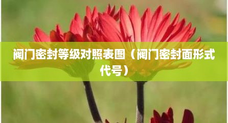 阀门密封等级对照表图（阀门密封面形式代号）