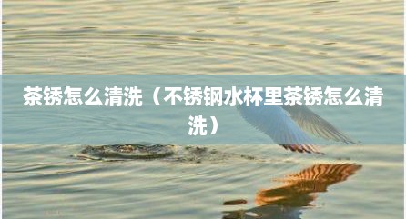 茶锈怎么清洗（不锈钢水杯里茶锈怎么清洗）