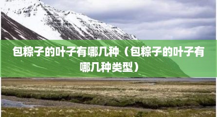 包粽子的叶子有哪几种（包粽子的叶子有哪几种类型）
