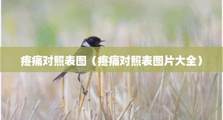 疼痛对照表图（疼痛对照表图片大全）