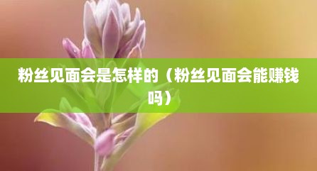 粉丝见面会是怎样的（粉丝见面会能赚钱吗）