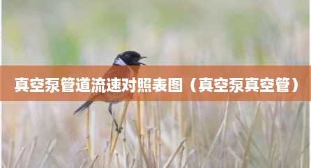 真空泵管道流速对照表图（真空泵真空管）