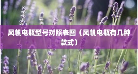 风帆电瓶型号对照表图（风帆电瓶有几种款式）