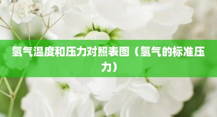 氢气温度和压力对照表图（氢气的标准压力）
