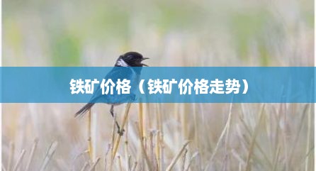 铁矿价格（铁矿价格走势）
