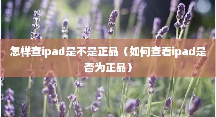 怎样查ipad是不是正品（如何查看ipad是否为正品）