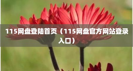 115网盘登陆首页（115网盘官方网站登录入口）