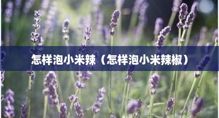 怎样泡小米辣（怎样泡小米辣椒）