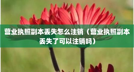 营业执照副本丢失怎么注销（营业执照副本丢失了可以注销吗）