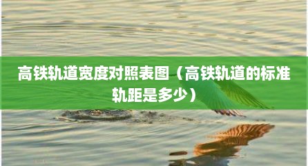 高铁轨道宽度对照表图（高铁轨道的标准轨距是多少）